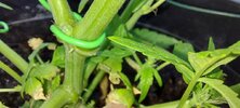 20210530_095209.jpg