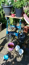 20210602_092741.jpg