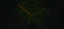 20210603_002523.jpg