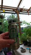 IMG-20210604-WA0079.jpeg