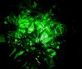 20210606_001353.jpg