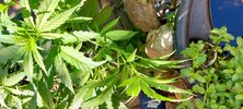 20210606_173634.jpg