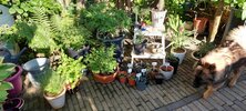 20210607_081706.jpg