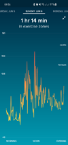 Screenshot_20210609-045645_Fitbit.png