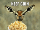 1623598705505.gif 1623598705505.gif