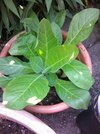 Photo9329.jpg