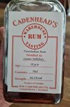 Caroni_CAD.JPG