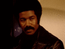 AdvancedChillyCowbird-max-1mb.gif