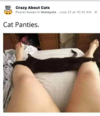 1624685754671.png