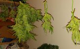 20210704_083105.jpg