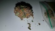 IMG-20190201-WA0021.jpg