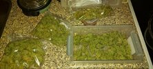20201017_223544.jpg