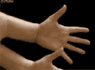 tenor-4.gif