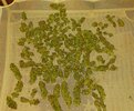 20210731_185427.jpg