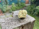 860722EB-C494-4EA1-8683-E5D43E78298B.jpeg