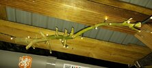20210807_015721.jpg