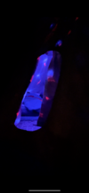 20210808_075749000_iOS.png