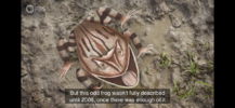 20210806_235954000_iOS.png
