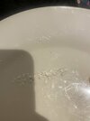 FE744E41-C070-4EA1-92C3-E41E73EF5D07.jpeg