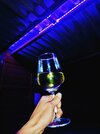 IMG_20210813_022535__01.jpg