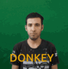 donkey-animal.gif