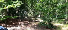 20210904_130941.jpg