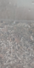 Screenshot_20190411-152559-540x1080.png