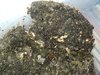 IMG_20190419_122500_resize_55.jpg