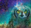 cosmic-owl-galaxy-space.jpg