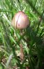 20190601_105843.jpg
