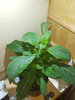 20190604_003250.jpg
