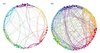 psilocybin-connectivity.jpg