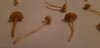 IMG-20191019-WA0040.jpg