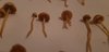IMG-20191019-WA0039.jpg