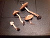 20191114_004657.jpg
