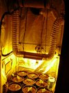 gallery_41823_17269_3265797.jpg