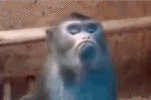 1635117827042.gif