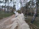 IMG_20211110_174539.jpg