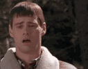 1636758053315.gif