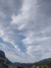 IMG_20211111_155437.jpg