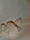 IMG_20211127_153531.jpg