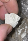 DFC602FB-6715-4368-BA64-87334E8DEE41.jpeg