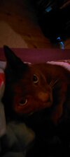 20211207_094830.jpg