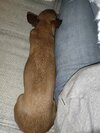 IMG_20211209_232504.jpg