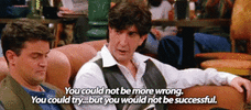 could-not-be-more-wrong.gif