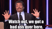 1639950467079.gif