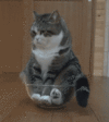 v6aOjy0Qo1fIA.gif v6aOjy0Qo1fIA.gif