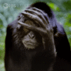 Bw5qXRyZqenm7J0SNF.gif Bw5qXRyZqenm7J0SNF.gif