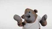 3o6Zti9NTwp5OEJHEc (1).gif 3o6Zti9NTwp5OEJHEc (1).gif