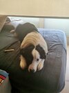 IMG_20211230_140541.jpg